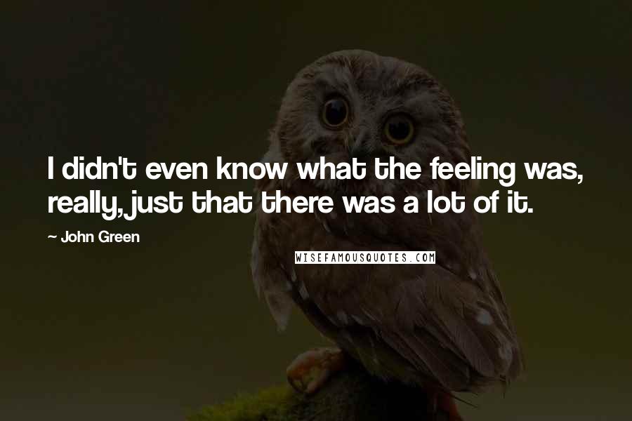 John Green Quotes: I didn't even know what the feeling was, really, just that there was a lot of it.