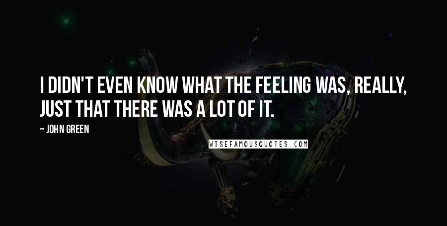 John Green Quotes: I didn't even know what the feeling was, really, just that there was a lot of it.