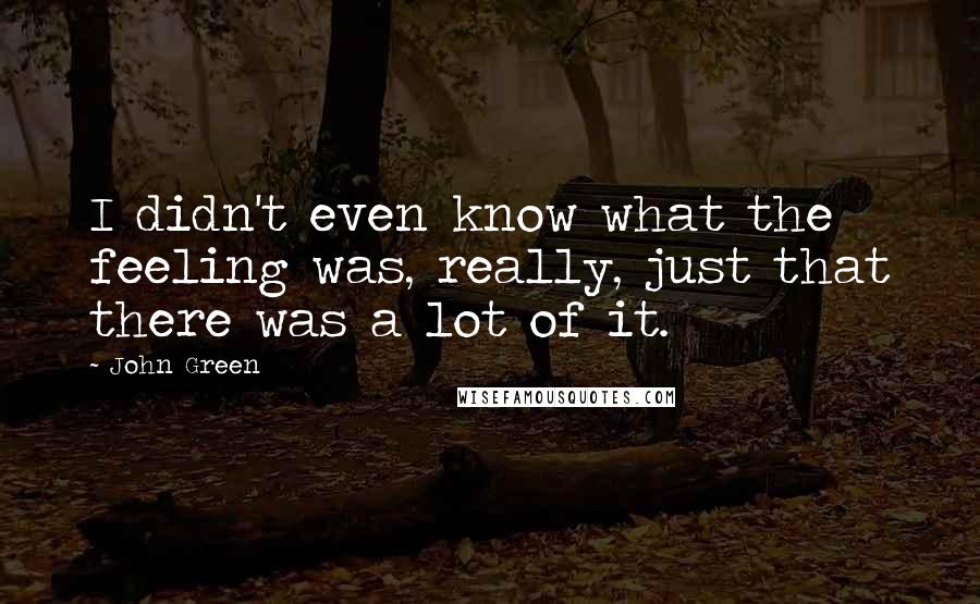 John Green Quotes: I didn't even know what the feeling was, really, just that there was a lot of it.