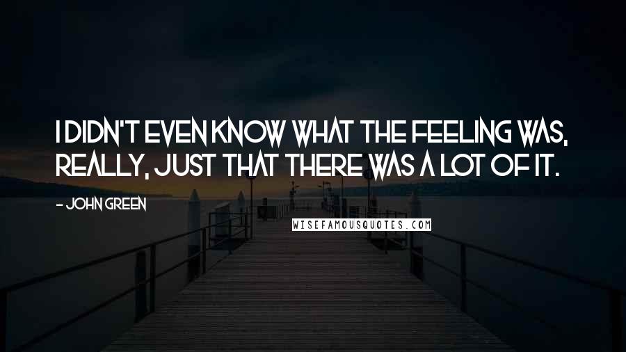 John Green Quotes: I didn't even know what the feeling was, really, just that there was a lot of it.