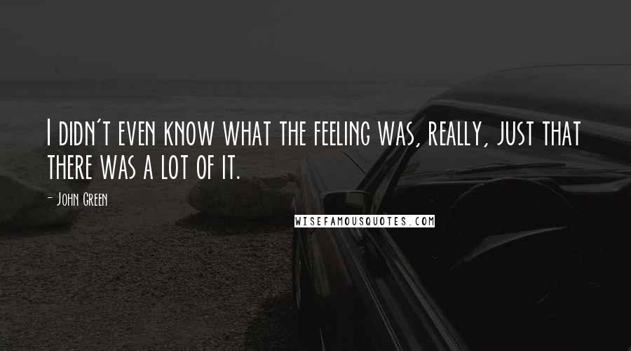 John Green Quotes: I didn't even know what the feeling was, really, just that there was a lot of it.