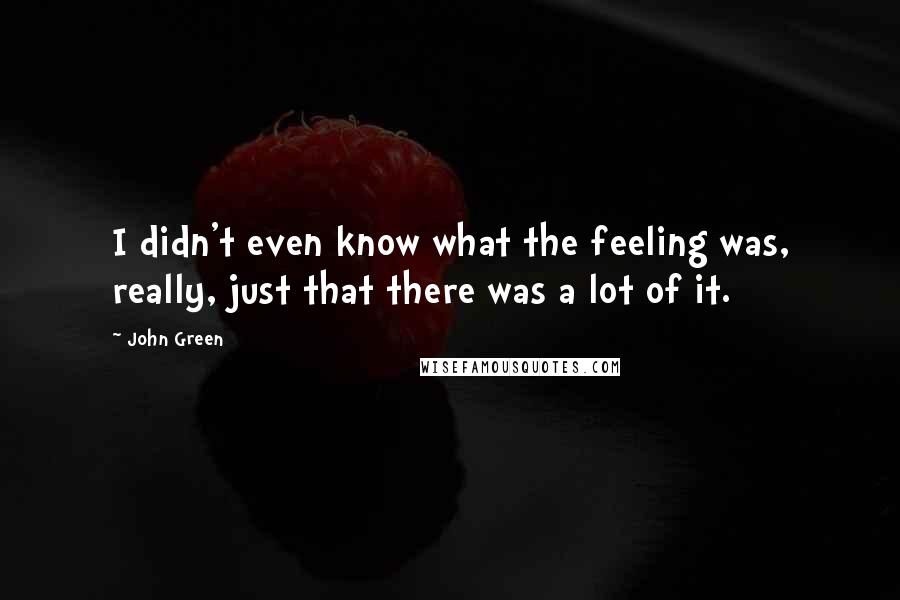 John Green Quotes: I didn't even know what the feeling was, really, just that there was a lot of it.