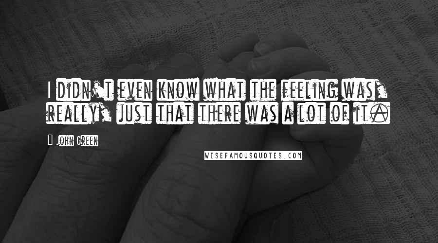 John Green Quotes: I didn't even know what the feeling was, really, just that there was a lot of it.