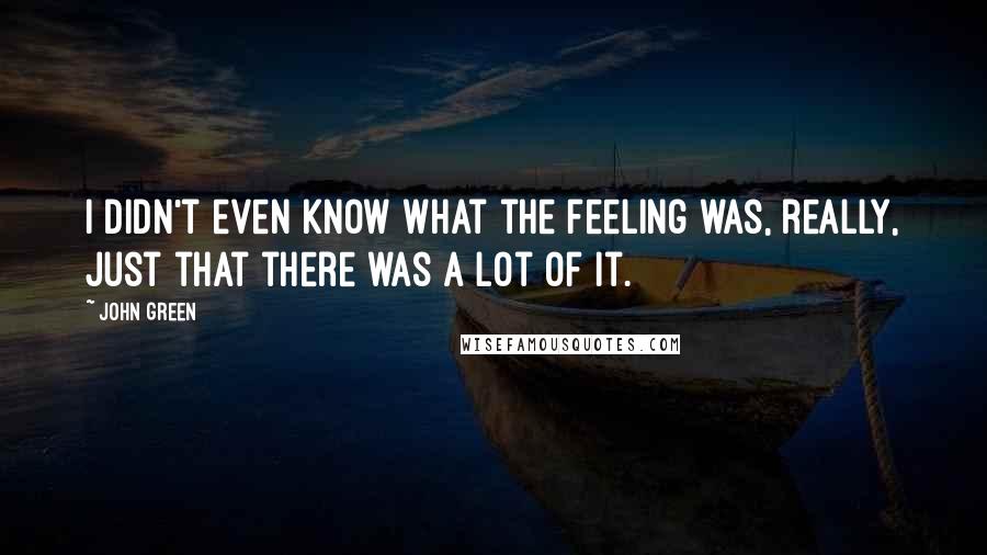 John Green Quotes: I didn't even know what the feeling was, really, just that there was a lot of it.