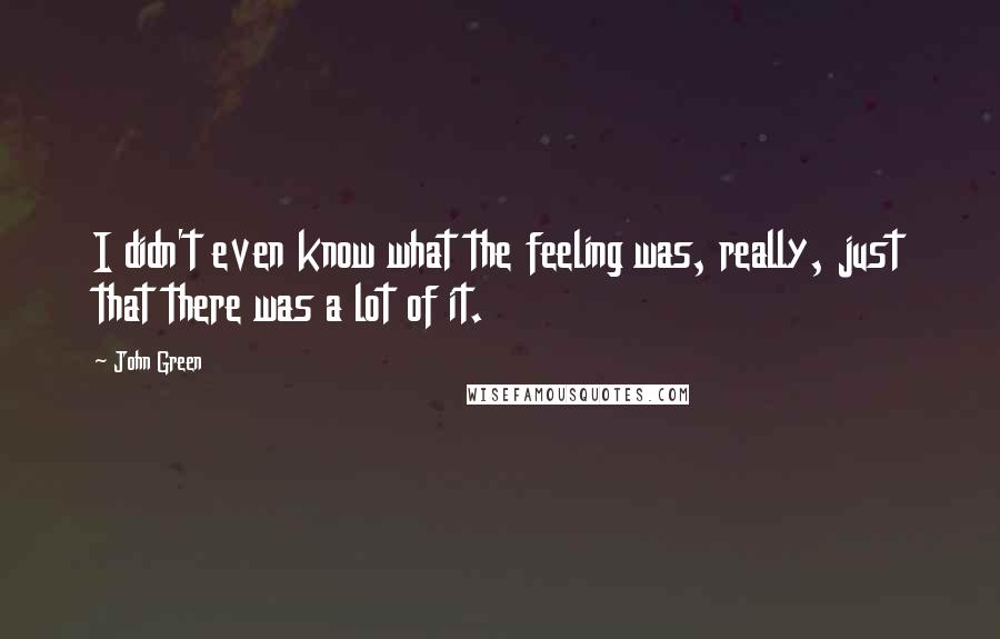 John Green Quotes: I didn't even know what the feeling was, really, just that there was a lot of it.