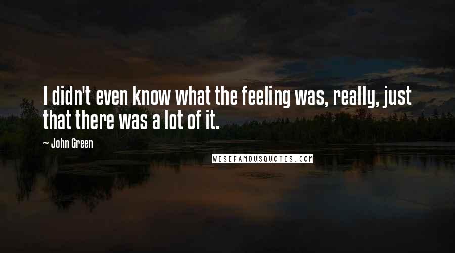 John Green Quotes: I didn't even know what the feeling was, really, just that there was a lot of it.