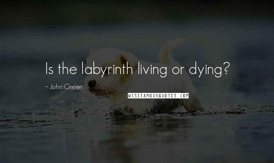 John Green Quotes: Is the labyrinth living or dying?