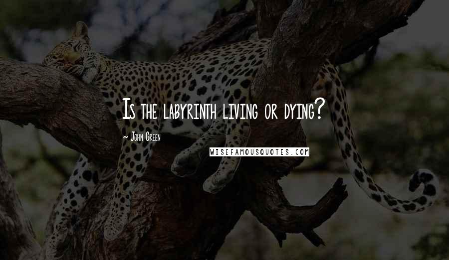 John Green Quotes: Is the labyrinth living or dying?