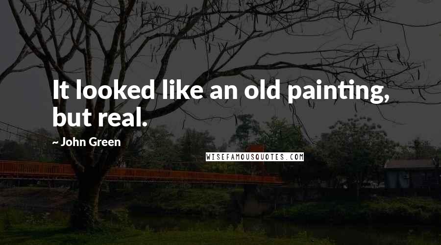 John Green Quotes: It looked like an old painting, but real.