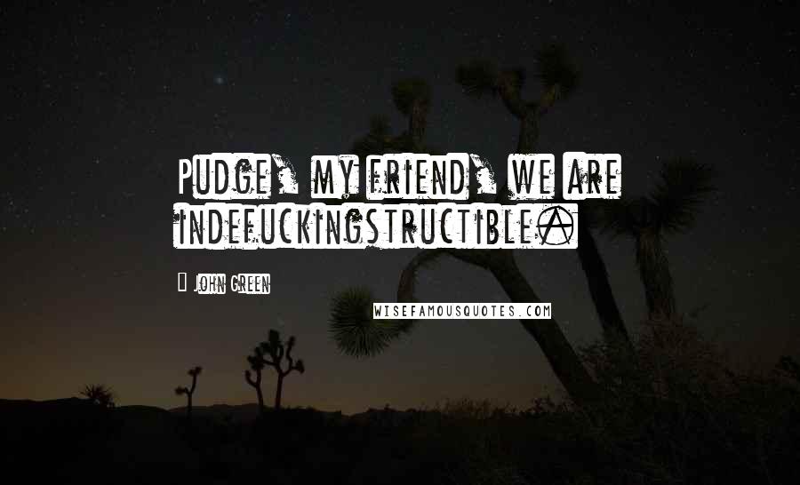 John Green Quotes: Pudge, my friend, we are indefuckingstructible.