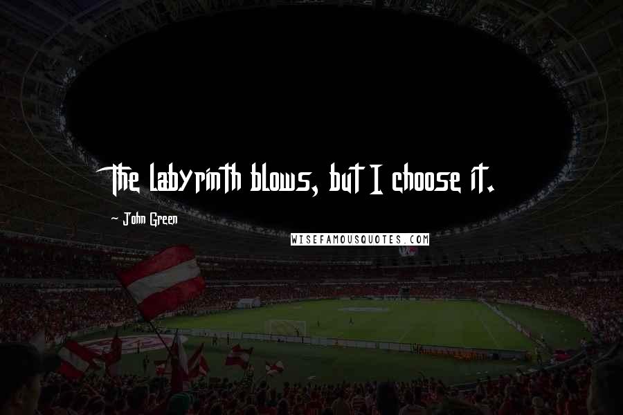 John Green Quotes: The labyrinth blows, but I choose it.
