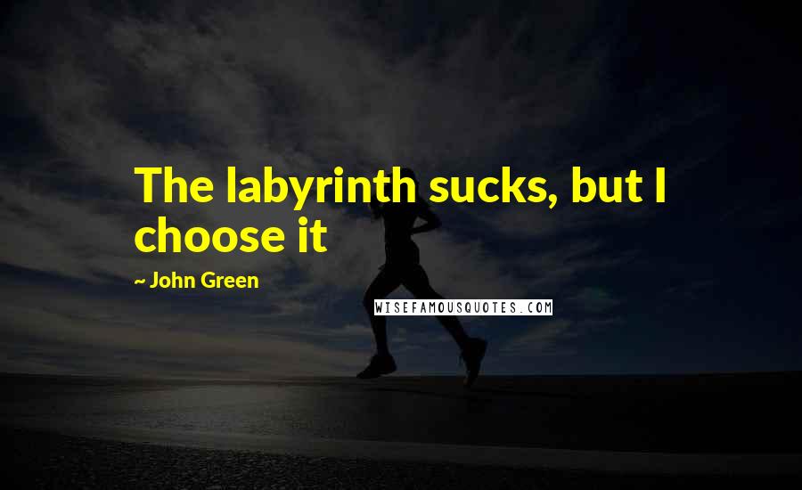 John Green Quotes: The labyrinth sucks, but I choose it