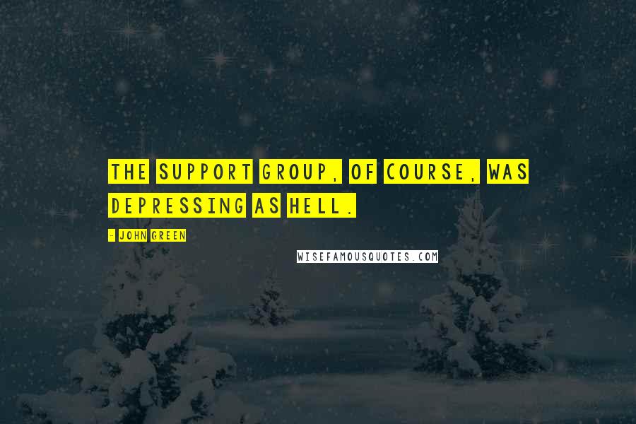 John Green Quotes: The Support Group, of course, was depressing as hell.