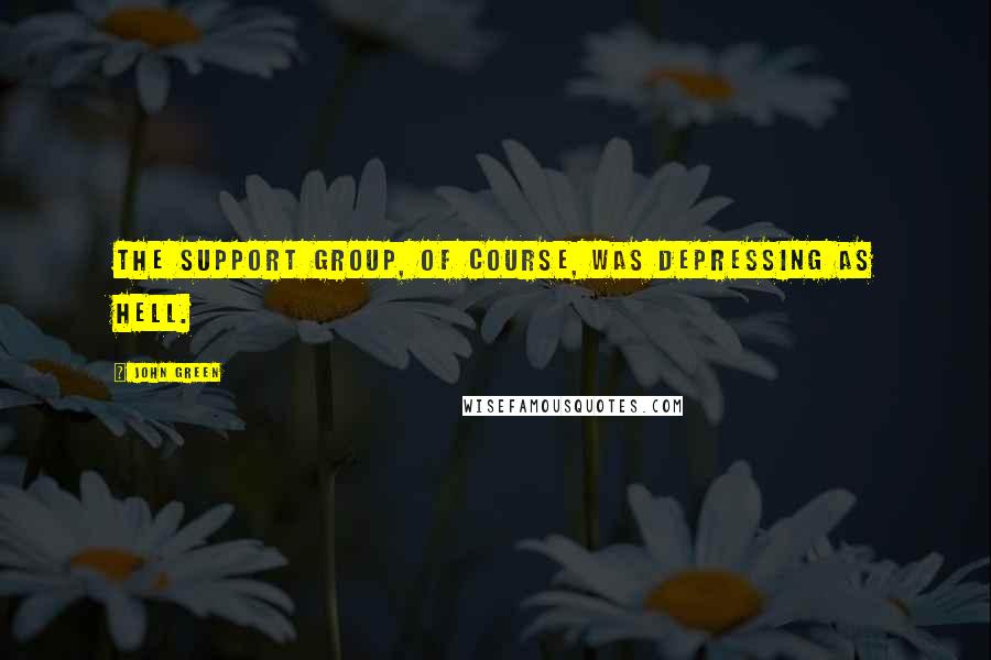 John Green Quotes: The Support Group, of course, was depressing as hell.