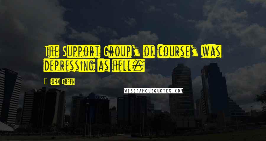 John Green Quotes: The Support Group, of course, was depressing as hell.