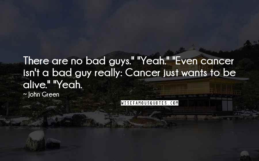 John Green Quotes: There are no bad guys." "Yeah." "Even cancer isn't a bad guy really: Cancer just wants to be alive." "Yeah.