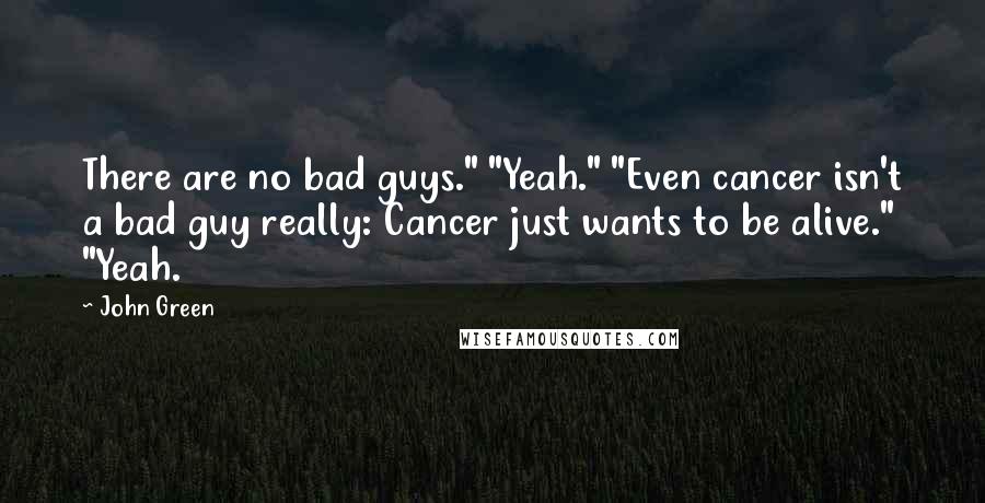John Green Quotes: There are no bad guys." "Yeah." "Even cancer isn't a bad guy really: Cancer just wants to be alive." "Yeah.