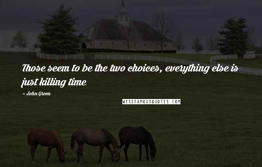 John Green Quotes: Those seem to be the two choices, everything else is just killing time