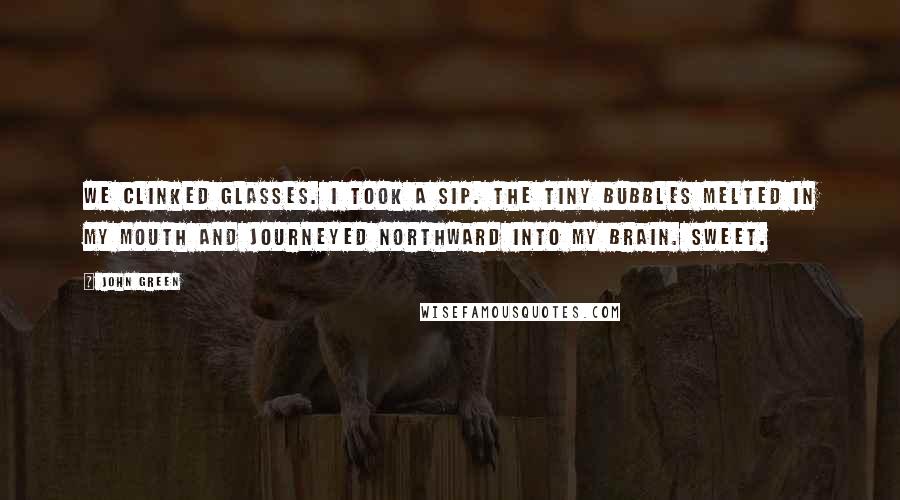 John Green Quotes: We clinked glasses. I took a sip. The tiny bubbles melted in my mouth and journeyed northward into my brain. Sweet.