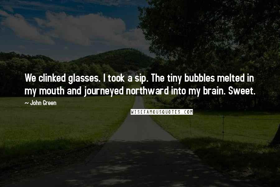John Green Quotes: We clinked glasses. I took a sip. The tiny bubbles melted in my mouth and journeyed northward into my brain. Sweet.