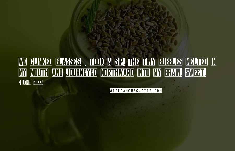 John Green Quotes: We clinked glasses. I took a sip. The tiny bubbles melted in my mouth and journeyed northward into my brain. Sweet.