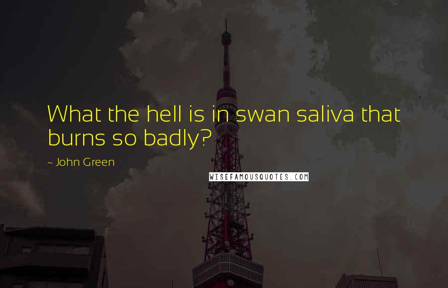 John Green Quotes: What the hell is in swan saliva that burns so badly?