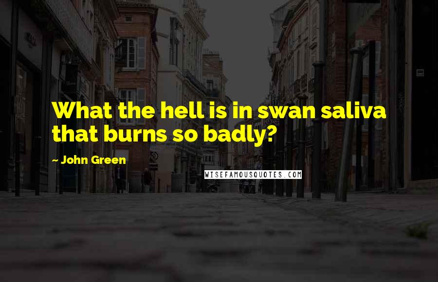 John Green Quotes: What the hell is in swan saliva that burns so badly?