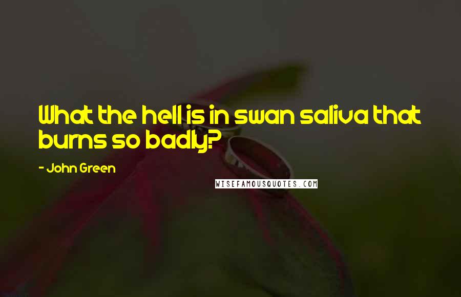 John Green Quotes: What the hell is in swan saliva that burns so badly?
