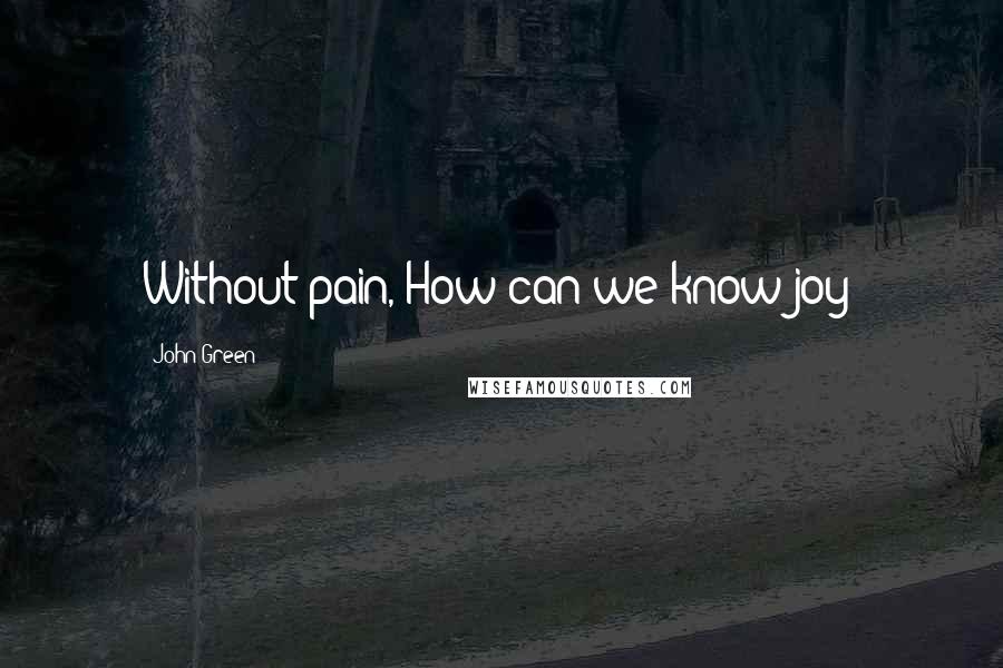 John Green Quotes: Without pain, How can we know joy?