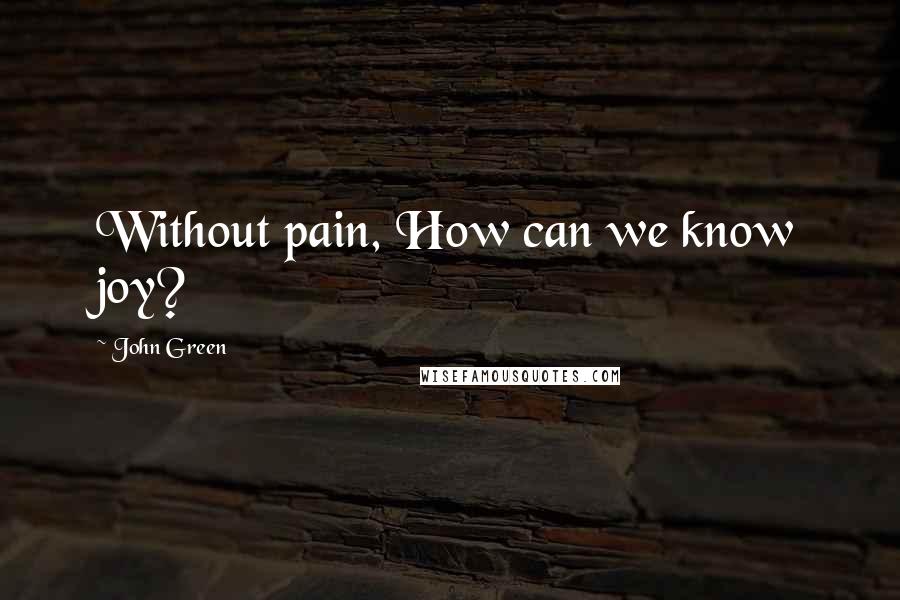 John Green Quotes: Without pain, How can we know joy?