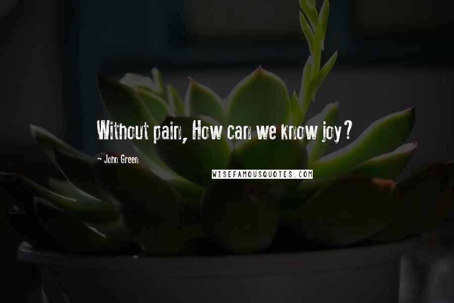 John Green Quotes: Without pain, How can we know joy?