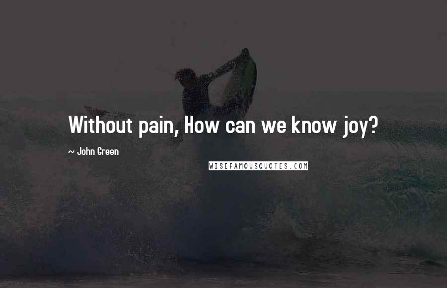 John Green Quotes: Without pain, How can we know joy?