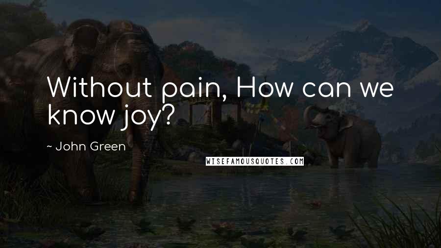 John Green Quotes: Without pain, How can we know joy?