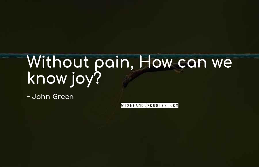 John Green Quotes: Without pain, How can we know joy?