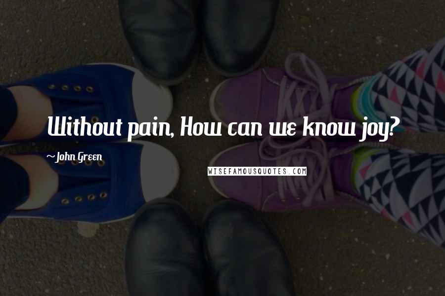 John Green Quotes: Without pain, How can we know joy?