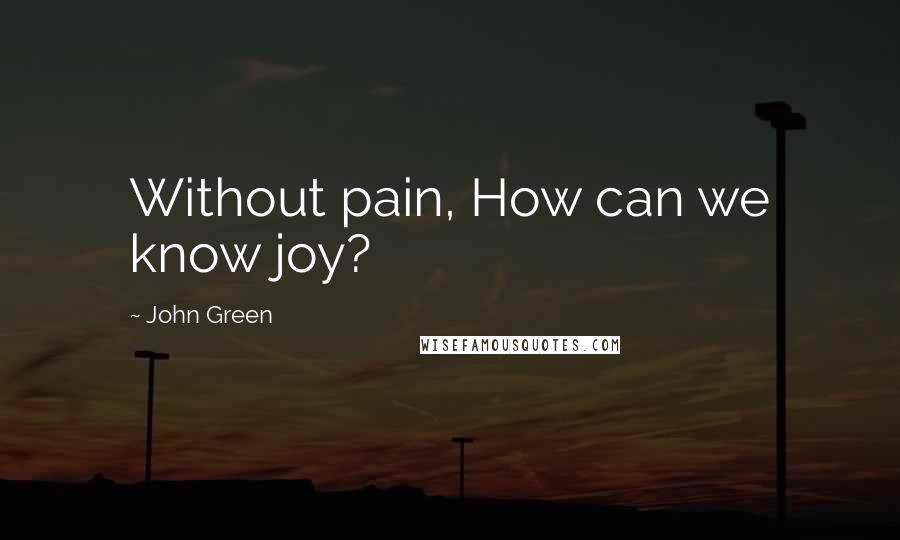 John Green Quotes: Without pain, How can we know joy?