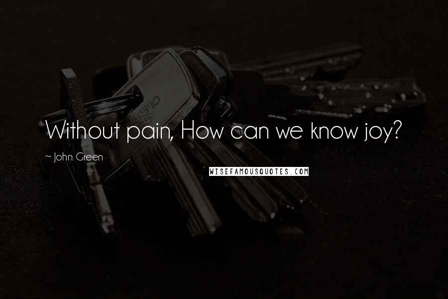 John Green Quotes: Without pain, How can we know joy?