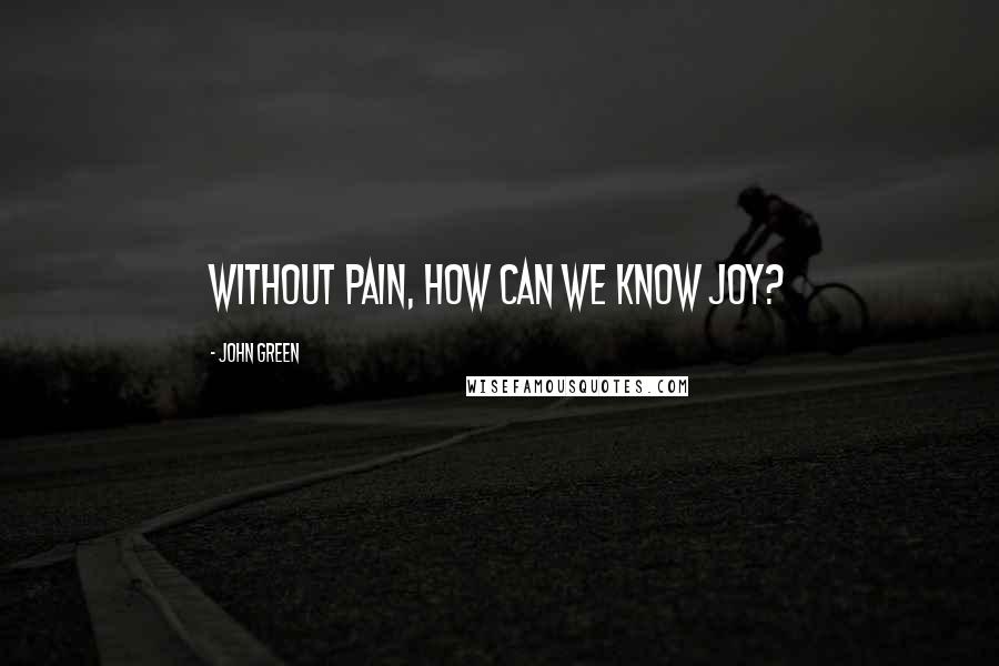 John Green Quotes: Without pain, How can we know joy?