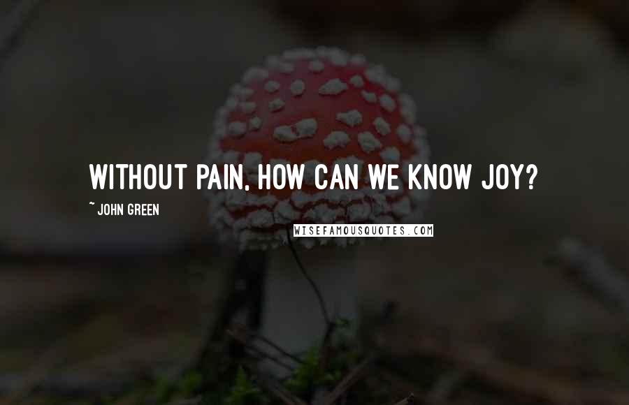 John Green Quotes: Without pain, How can we know joy?