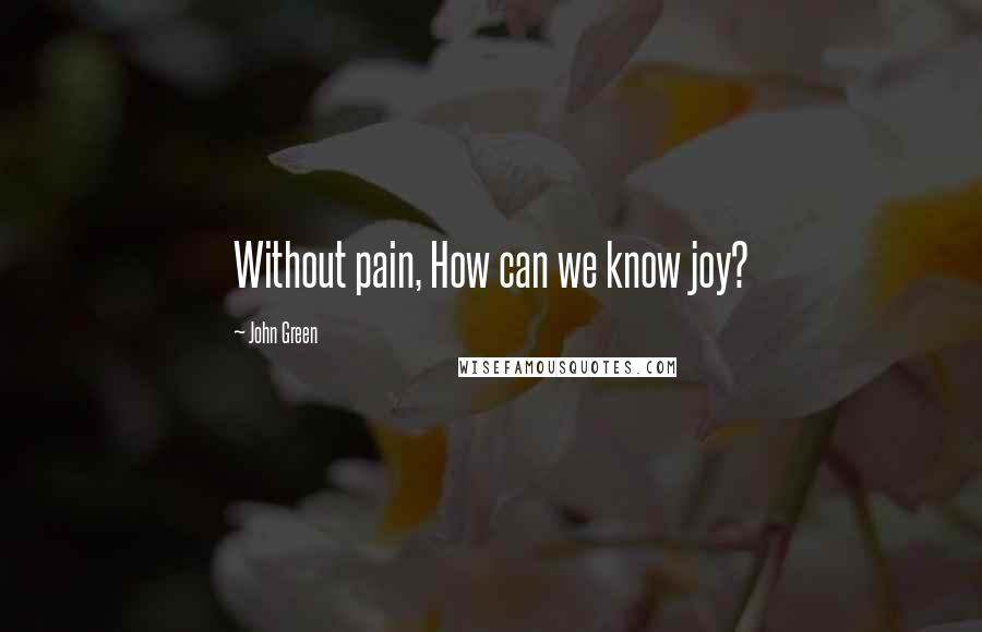 John Green Quotes: Without pain, How can we know joy?