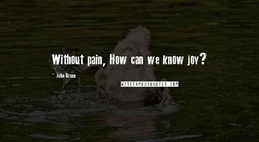 John Green Quotes: Without pain, How can we know joy?