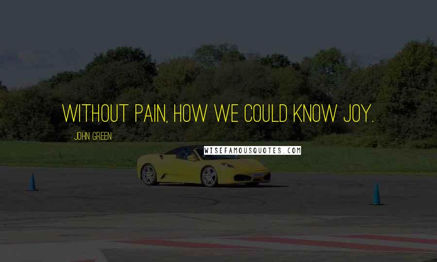 John Green Quotes: Without pain, how we could know joy.