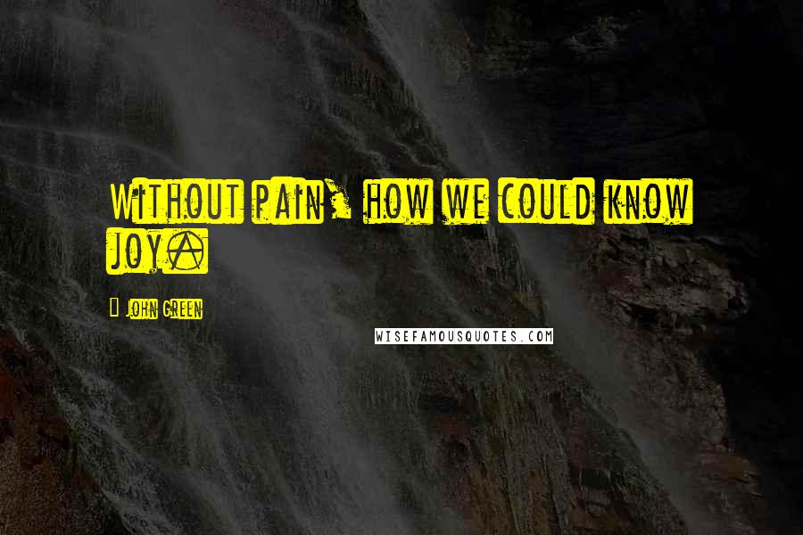 John Green Quotes: Without pain, how we could know joy.