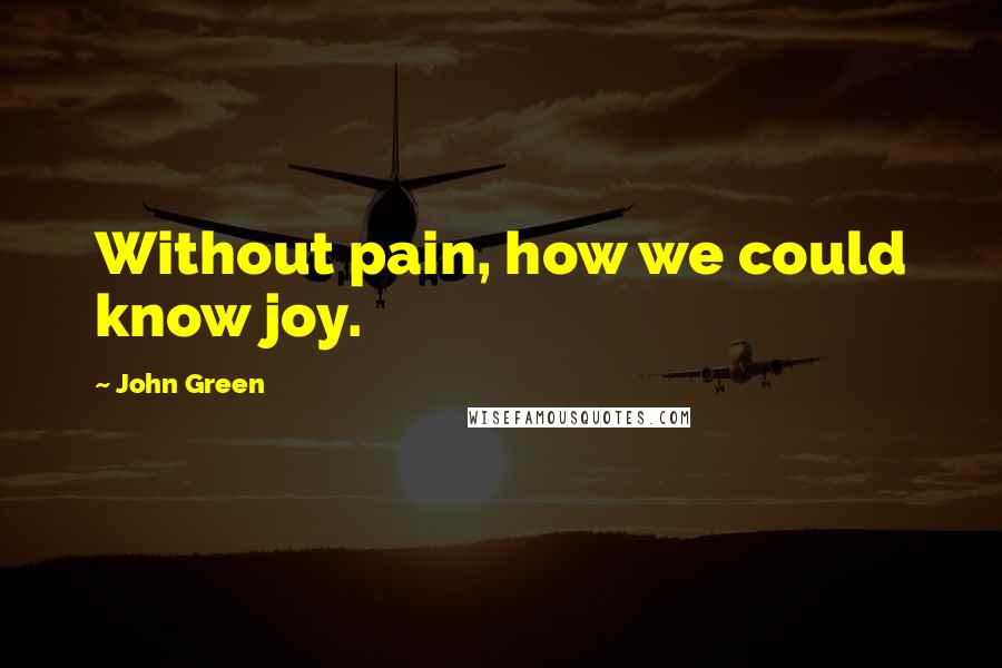 John Green Quotes: Without pain, how we could know joy.