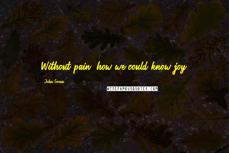 John Green Quotes: Without pain, how we could know joy.