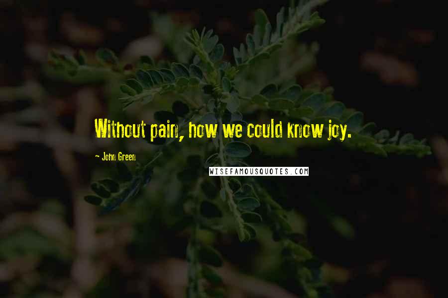 John Green Quotes: Without pain, how we could know joy.