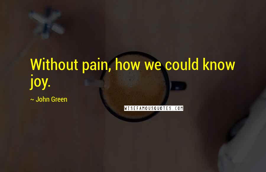John Green Quotes: Without pain, how we could know joy.