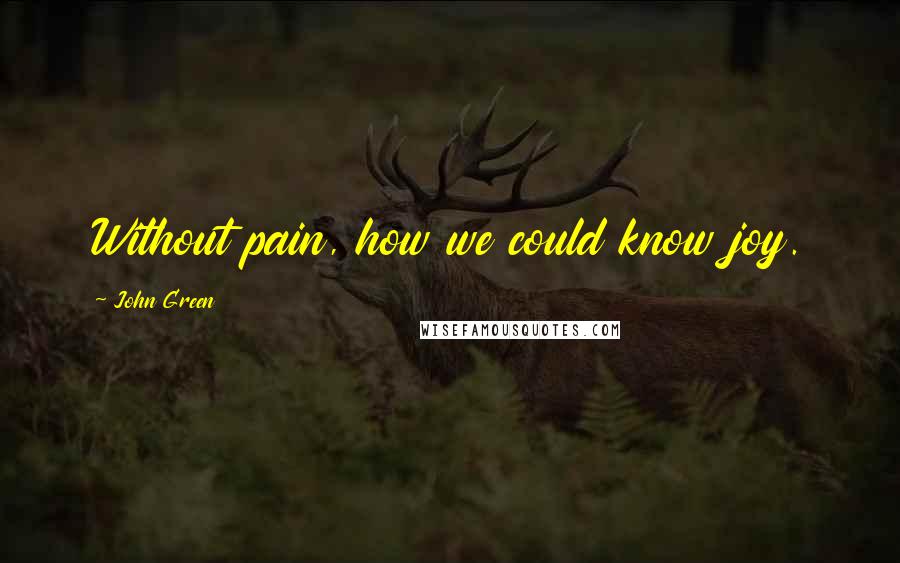 John Green Quotes: Without pain, how we could know joy.