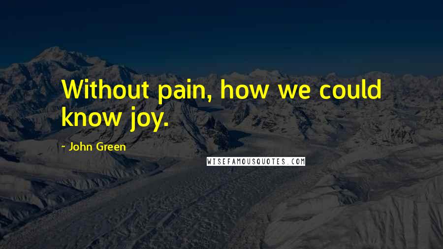 John Green Quotes: Without pain, how we could know joy.