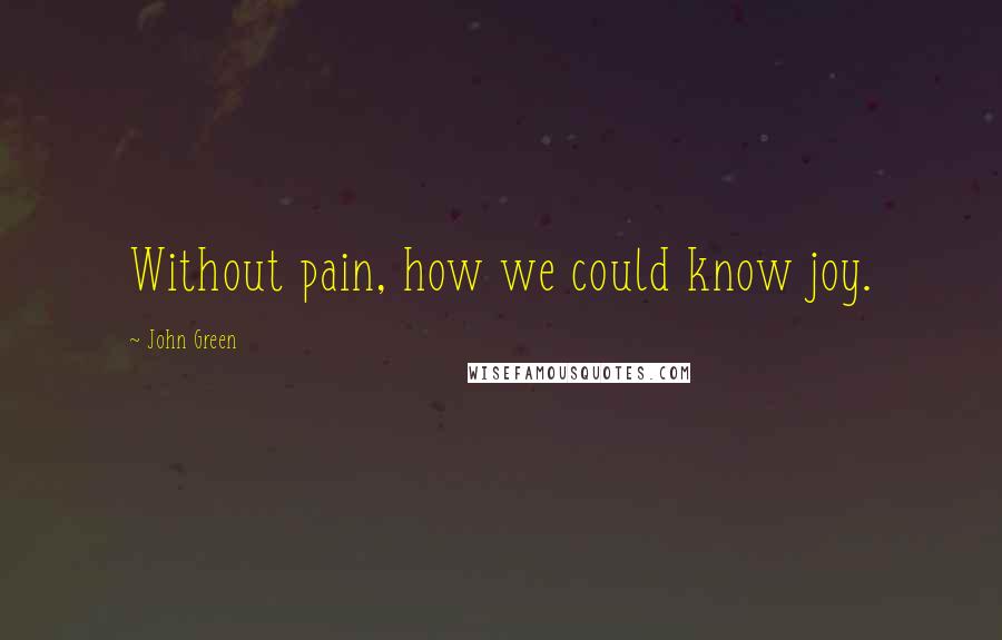 John Green Quotes: Without pain, how we could know joy.